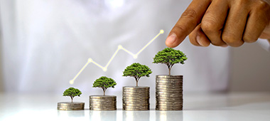 Flexible Recurring Deposits